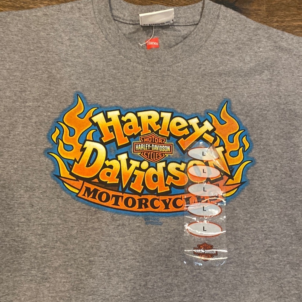 Harley Davidson motorcycle kids T-shirt new large 14 16 Gray